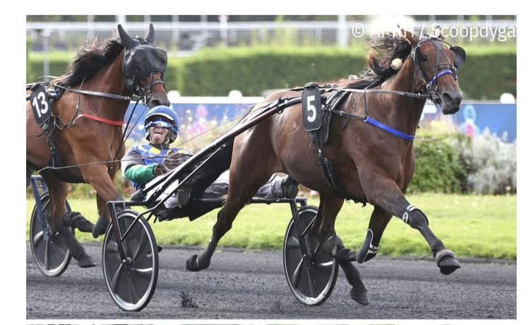 Laissez Faire, a winning streak that speaks for itself