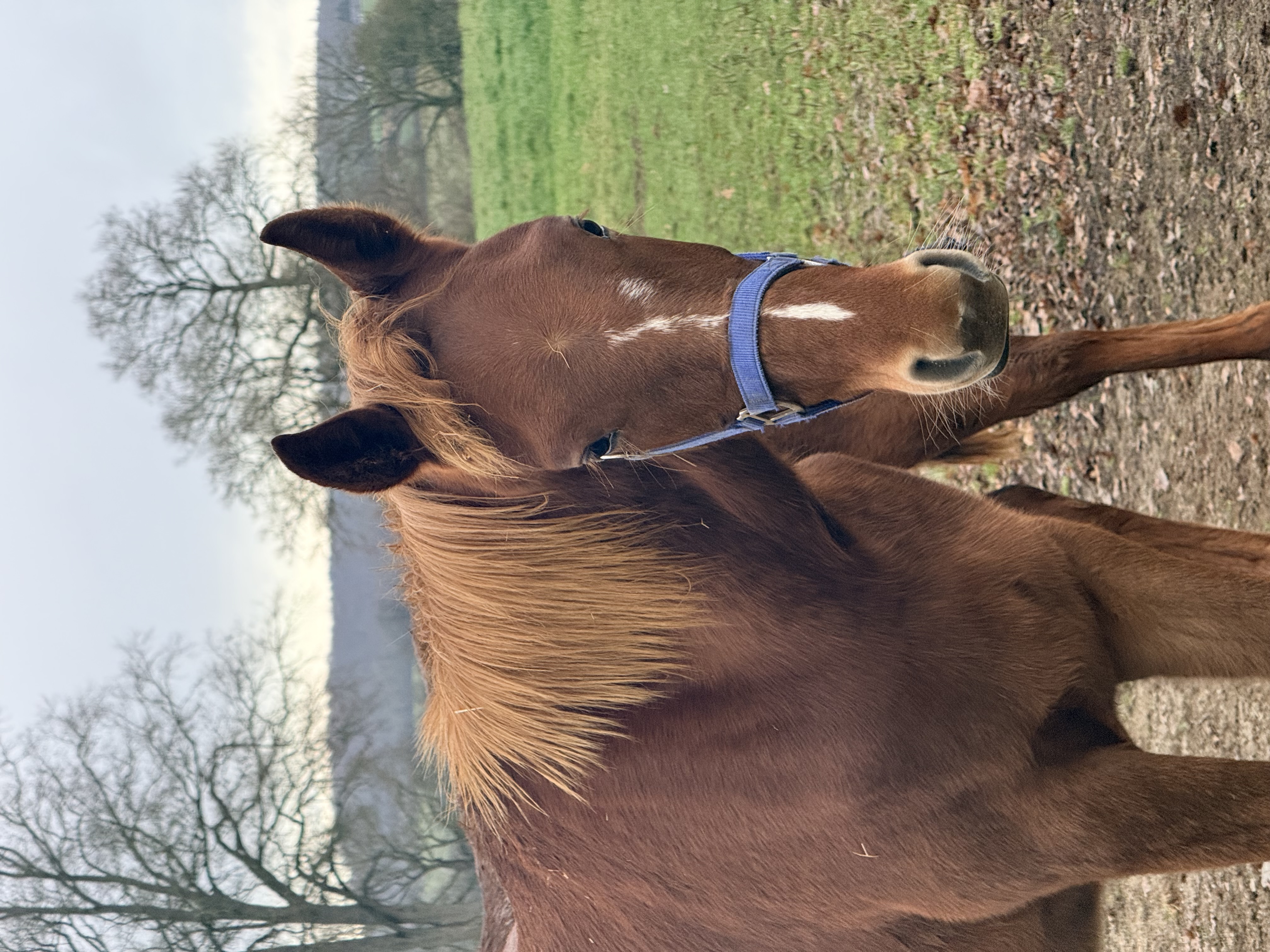 PRIMO EXCLUSIF - Foto 2