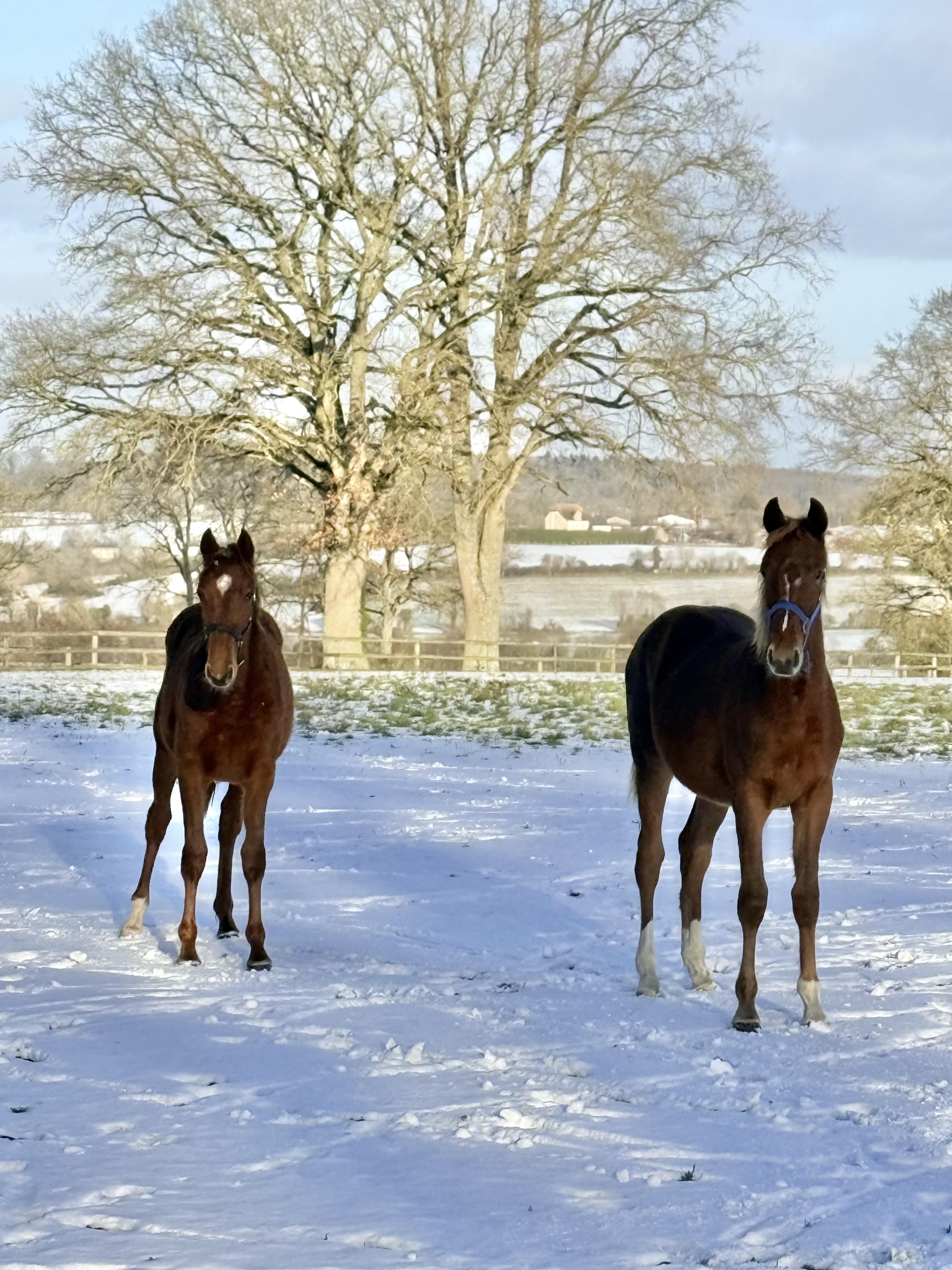 PRIMO EXCLUSIF - Foto 1