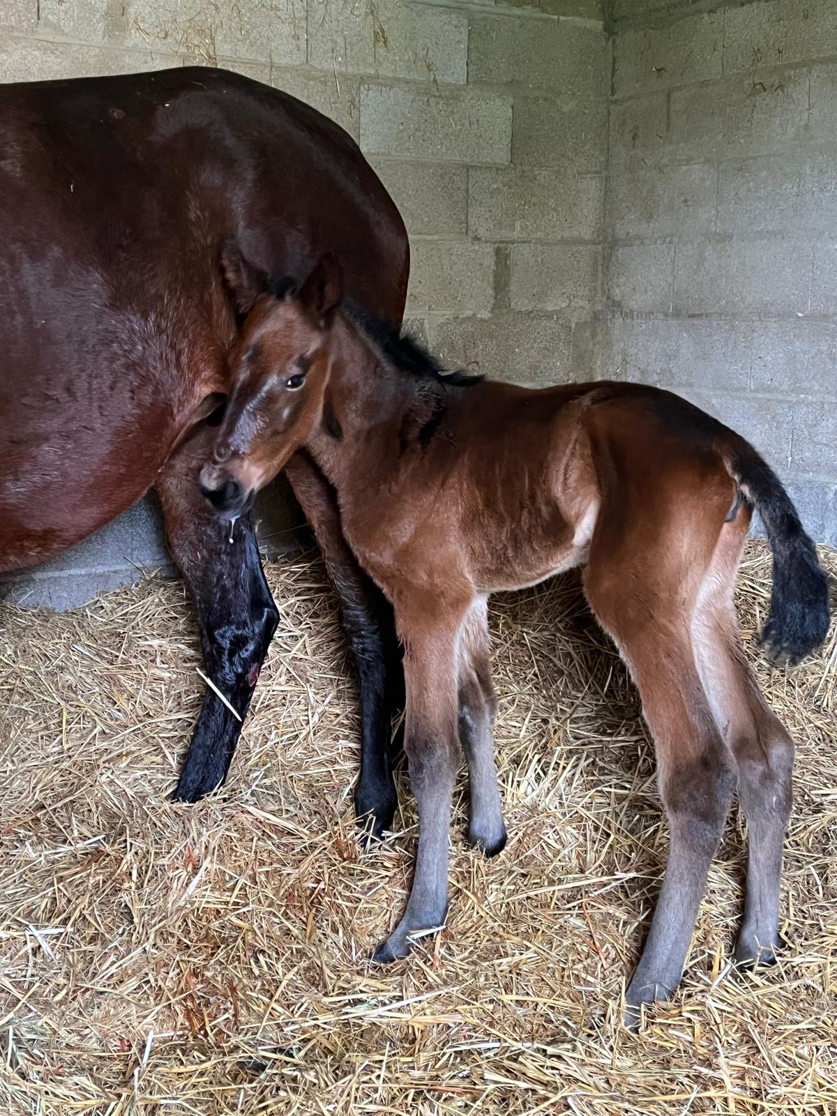 QUITANA EXCLUSIVE - Foto 1