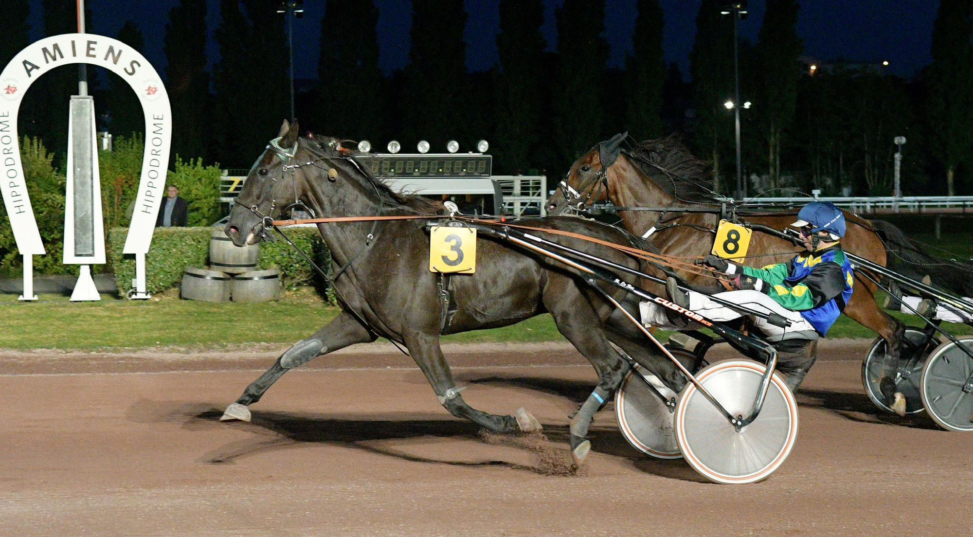 Vittoria in pista - Trotto
